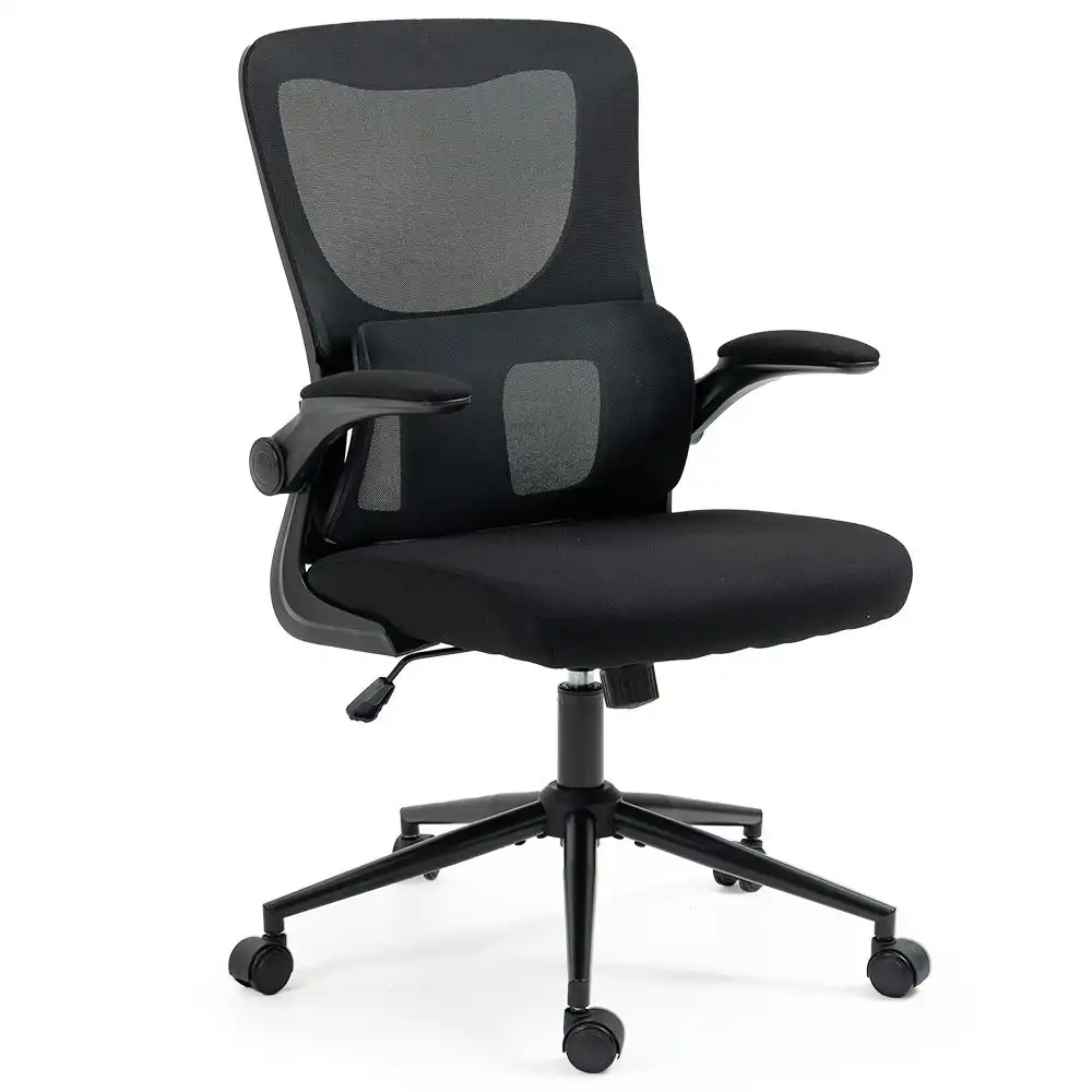 Fortia Ergonomic Office Desk Chair, Lumbar Support, Mesh Fabric, Black