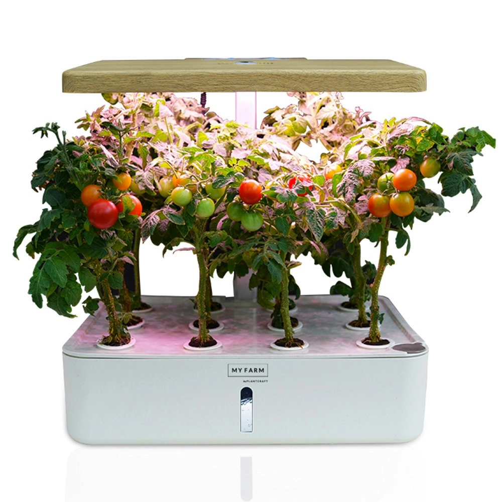 PlantCraft 12 Pod Indoor Hydroponic Growing System, with Water Level Window & Pump, White