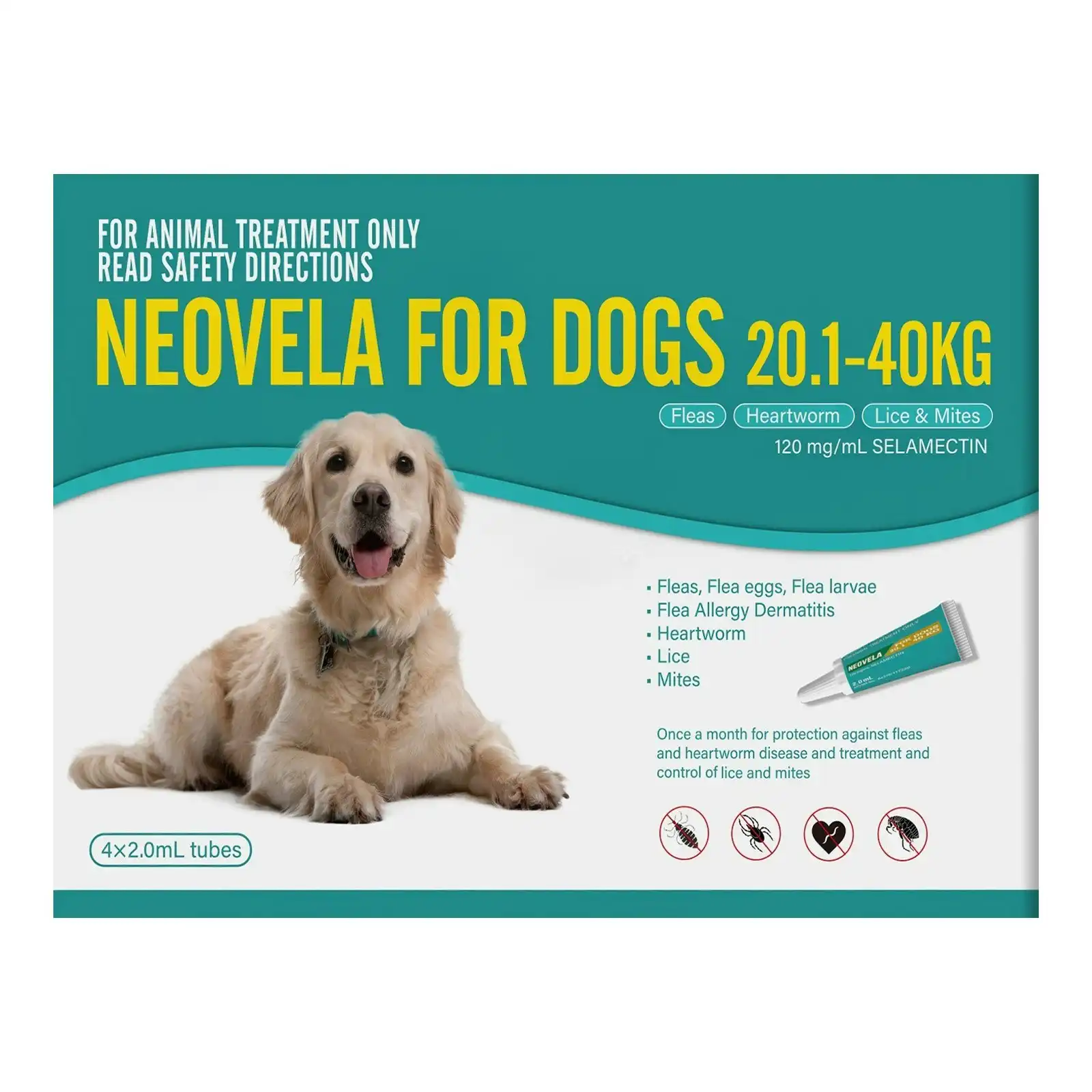 Neovela for Large Dogs 20.1 to 40 Kg (TEAL) 4 Pack