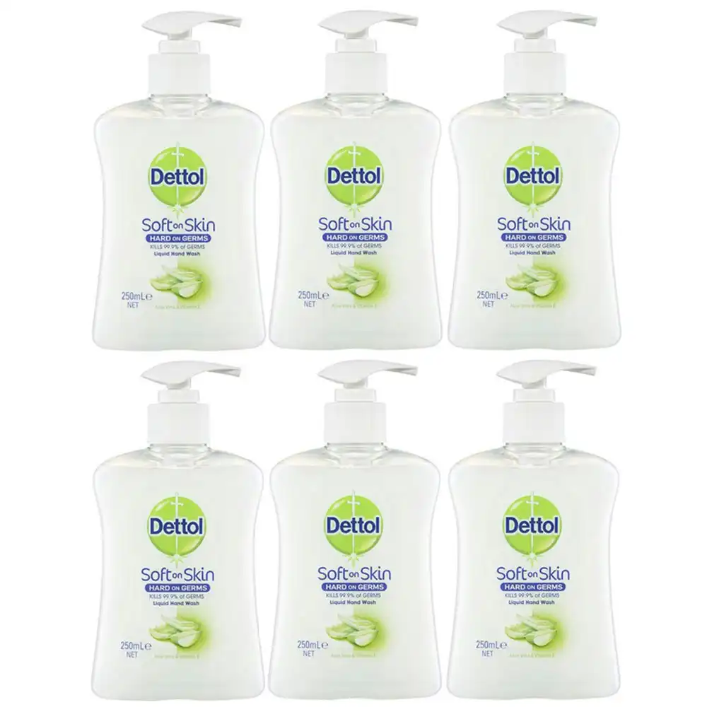 6pc Dettol 250ml Liquid Hand Wash Soap Antibacterial Aloe Vera/Vitamin E w/ Pump