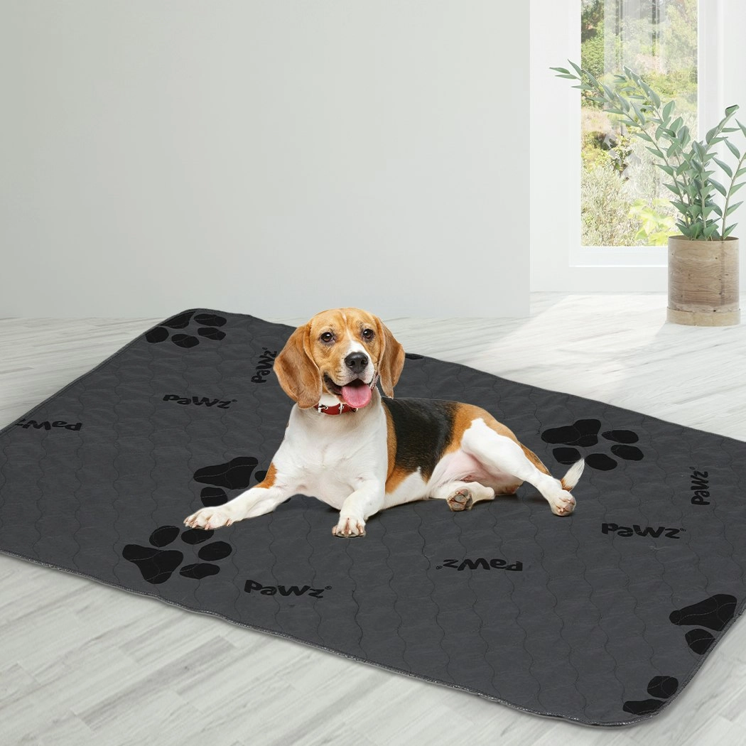 Pawz 2x Washable Dog Puppy Training Pad Pee Puppy Reusable Cushion XXL Grey