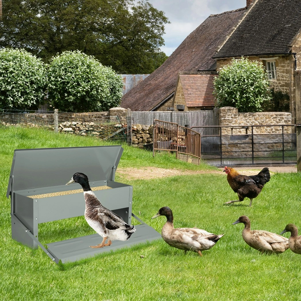 Pawz 5KG Auto Automatic Chicken Feeder Galvanized Poultry Chook Treadle