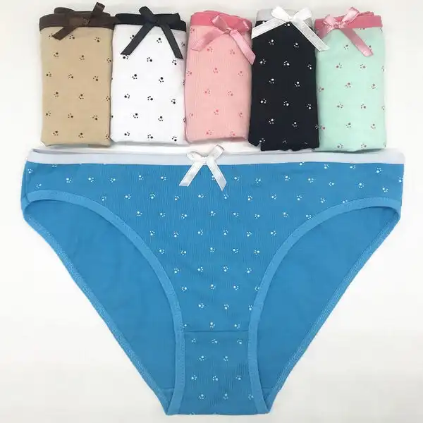 6 x Womens Sheer Spandex / Cotton Briefs - Assorted Colours Underwear Undies 89197