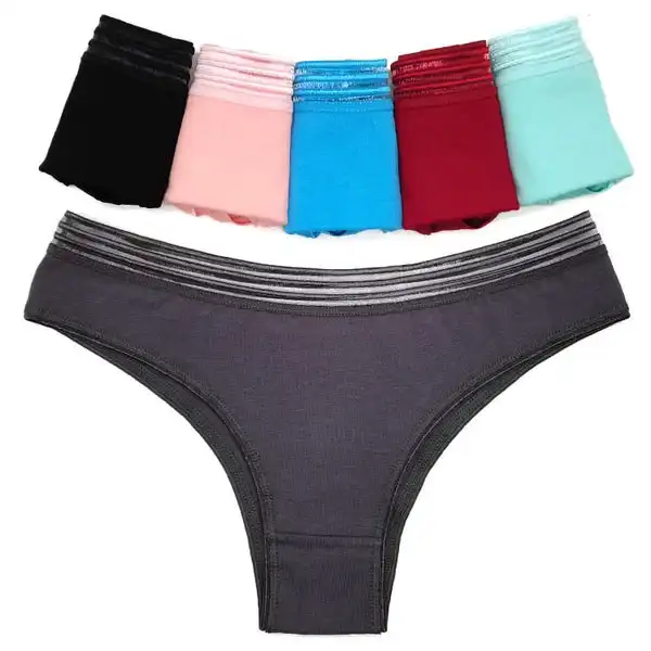 6 x Womens Sheer Spandex / Cotton Briefs - Assorted Colours Underwear Undies 89513