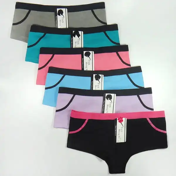 6 x Womens Sheer Spandex / Cotton Briefs - Assorted Colours Underwear Undies 86985