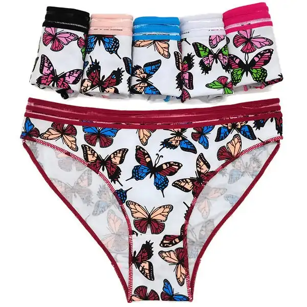 6 x Womens Sheer Spandex / Cotton Briefs - Assorted Colours Underwear Undies 89532