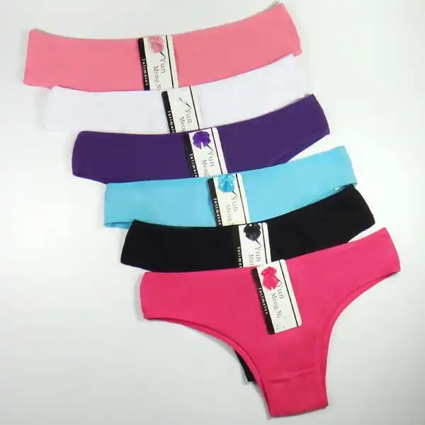 6 x Womens Sheer Spandex / Cotton Briefs - Assorted Colours Underwear Undies 86378