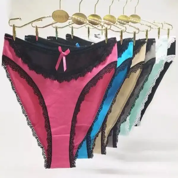 6 x Womens Sheer Spandex / Cotton Briefs - Assorted Colours Underwear Undies 89227