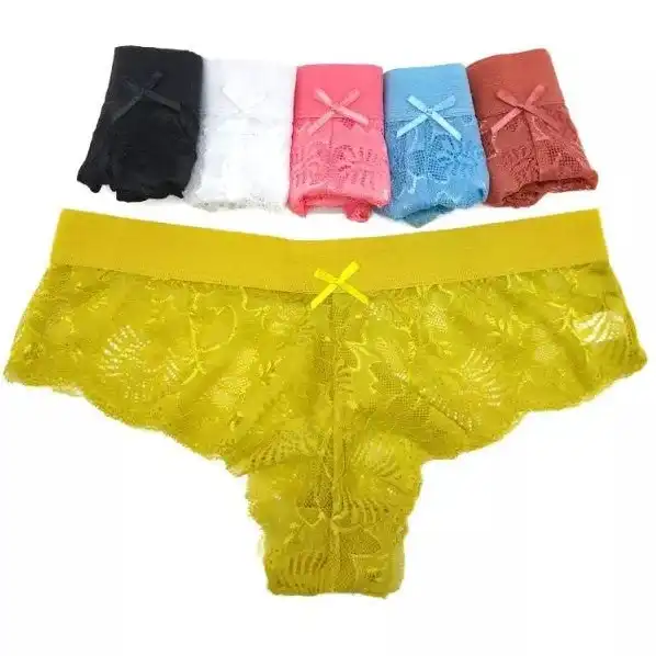 12 X Womens Nylon Briefs - Assorted Colours Underwear Undies 89421