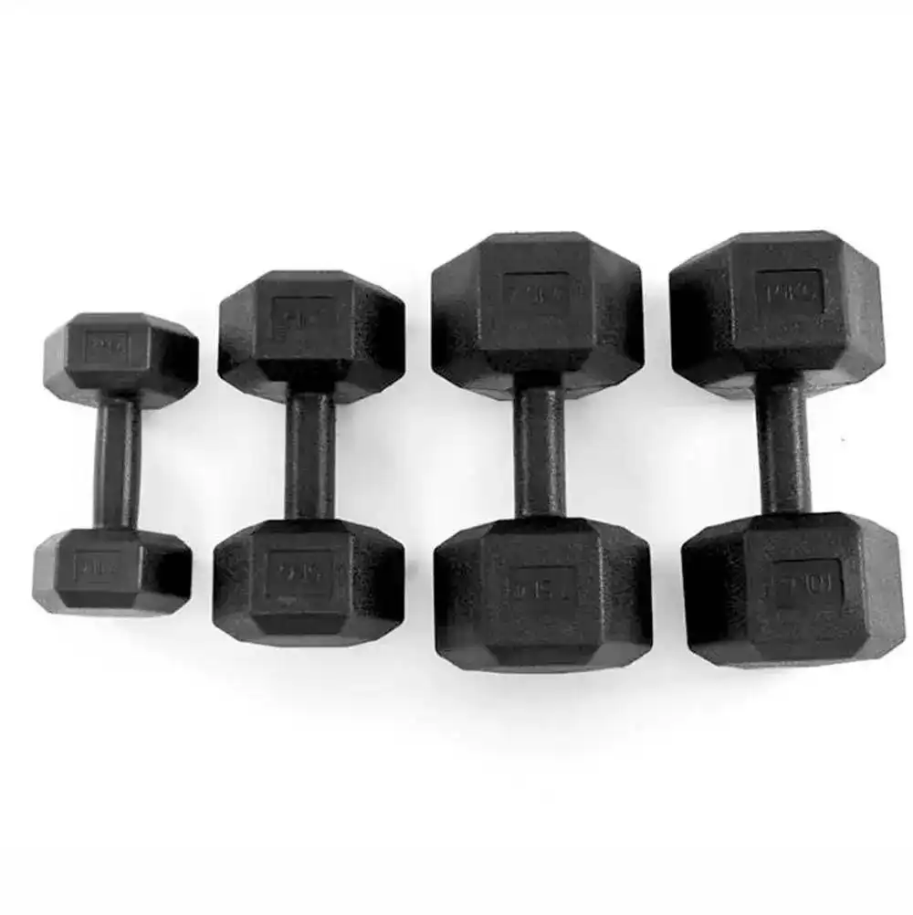 JMQ Fitness Hex Dumbbell Dumbbells Home Gym Weight Training Workout Exercise