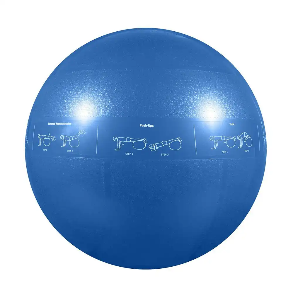 Gofit 55cm Proball Sports Gym Exercise Fitness/Yoga Training Stability Ball Blue