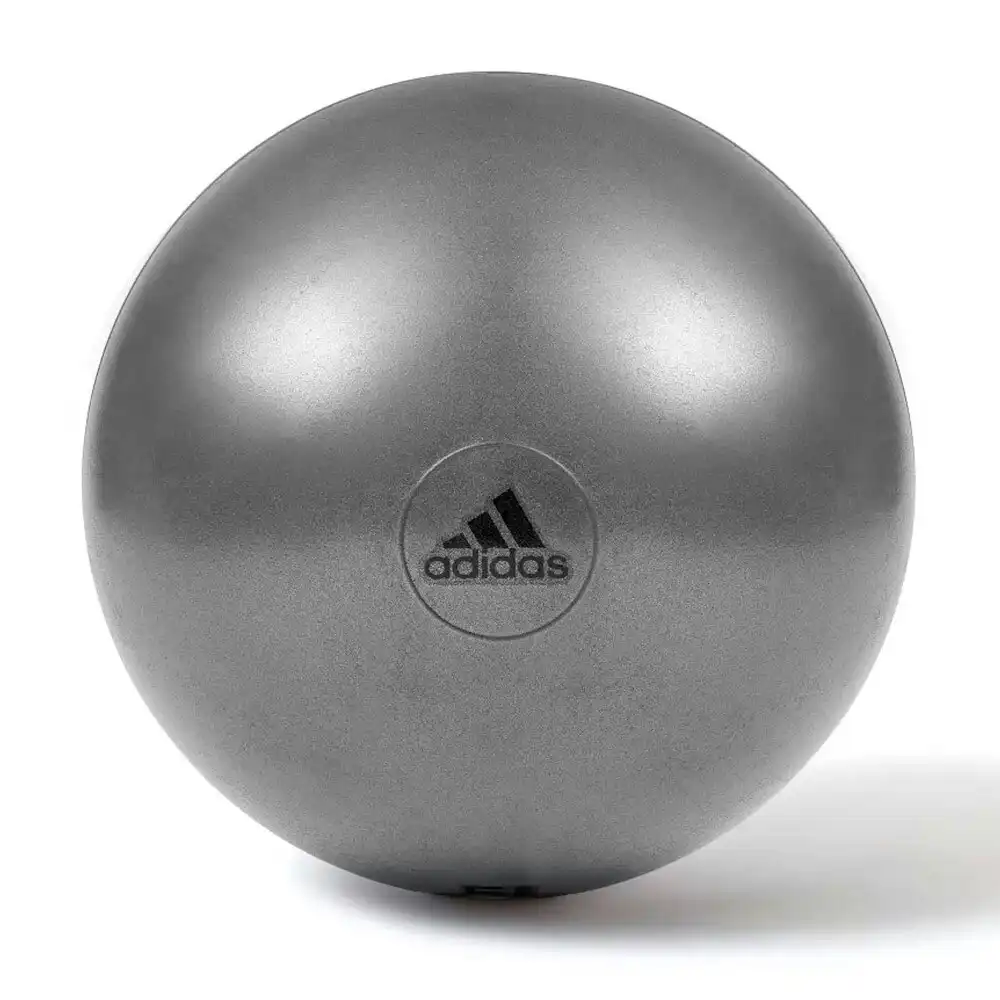Adidas Gym Ball 55cm Fitness/Exercise Pilates Fit Yoga Swiss Ball w/ Pump Grey