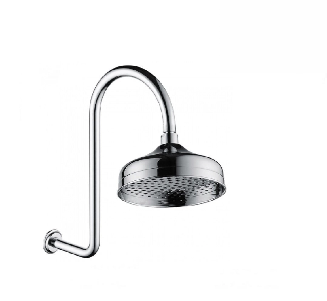 Fienza Lillian Shower Set Chrome 411138A