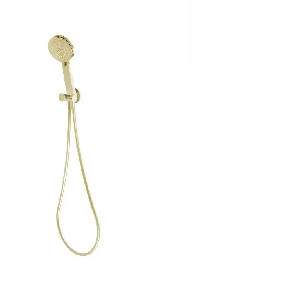 Phoenix Vivid Hand Shower Brushed Gold V683-12