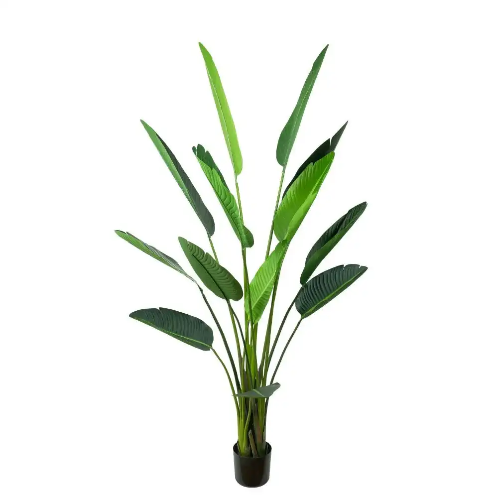 Glamorous Fusion Traveller Palm Tree Artificial Fake Plant Decorative 185cm In Pot - Green
