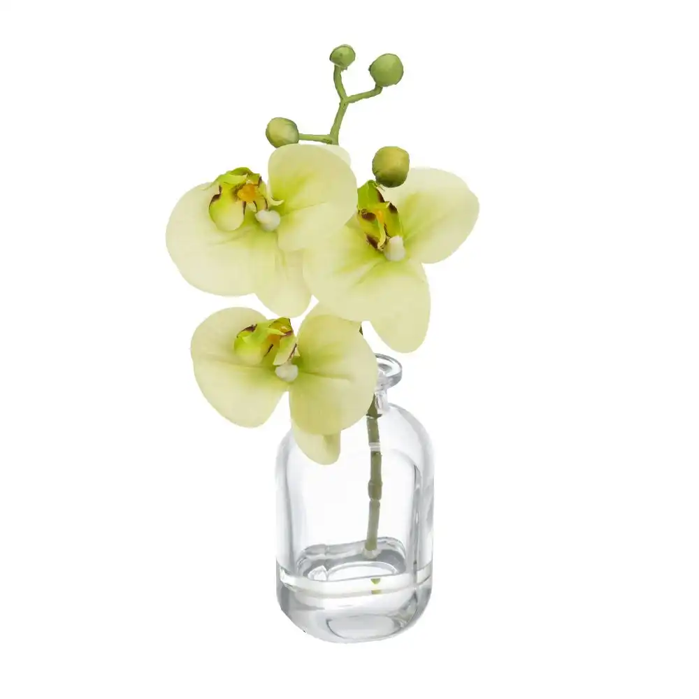Glamorous Fusion Orchid Artificial Faux Plant Flower Decorative 27cm In Bottle Vase