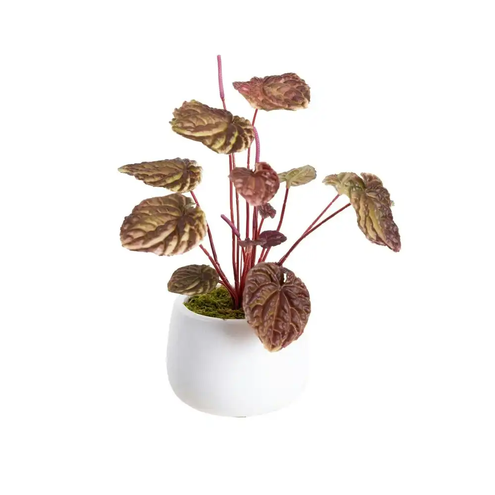 Glamorous Fusion Burgundy Begonia Bush Artificial Faux Plant Decorative 20cm In Pot