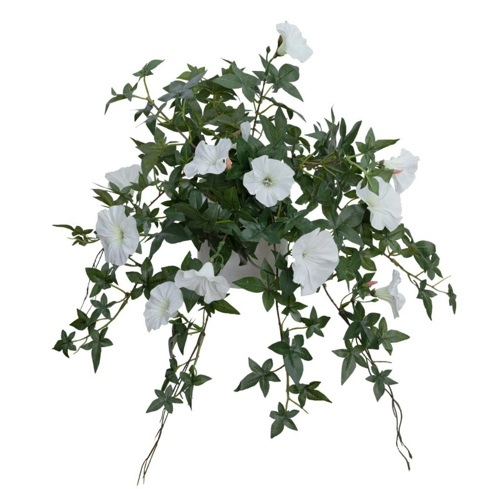 Glamorous Fusion Cream Morning Glory Artificial Fake Plant Decorative Arrangement 45cm In Pot Cream