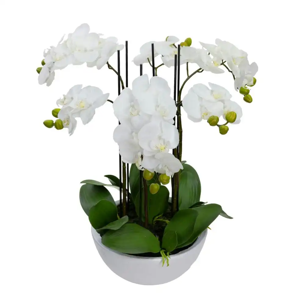 Glamorous Fusion Phalaenopsis Orchid Artificial Plant Flower Decorative 55cm Ceramic Pot - White