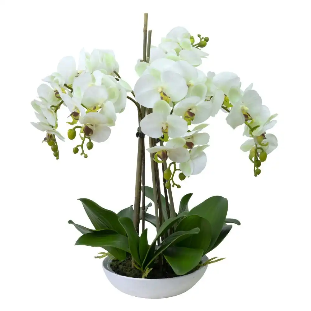 Glamorous Fusion Phalaenopsis Orchid Artificial Plant Flower Decorative 60cm White Bowl - Apple Green
