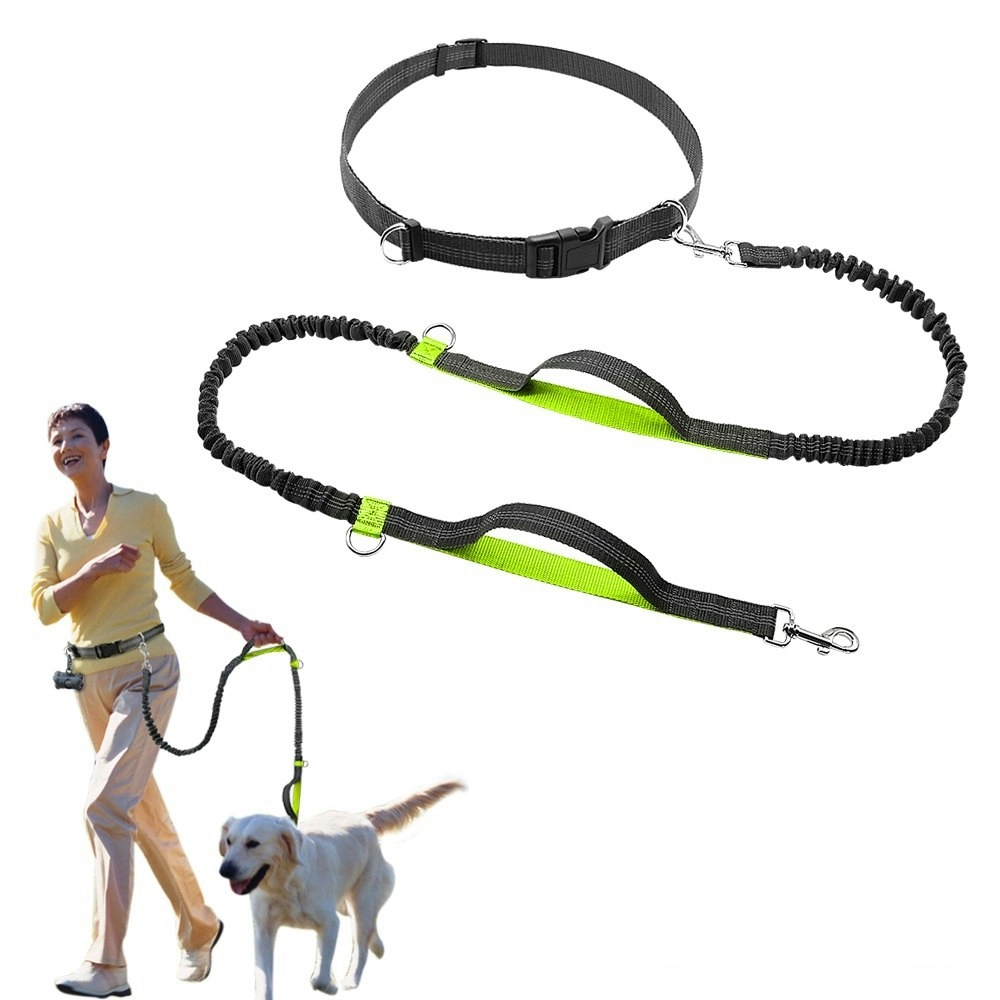 Hands Free Dog Leash Durable Dual-Handle Bungee Leash