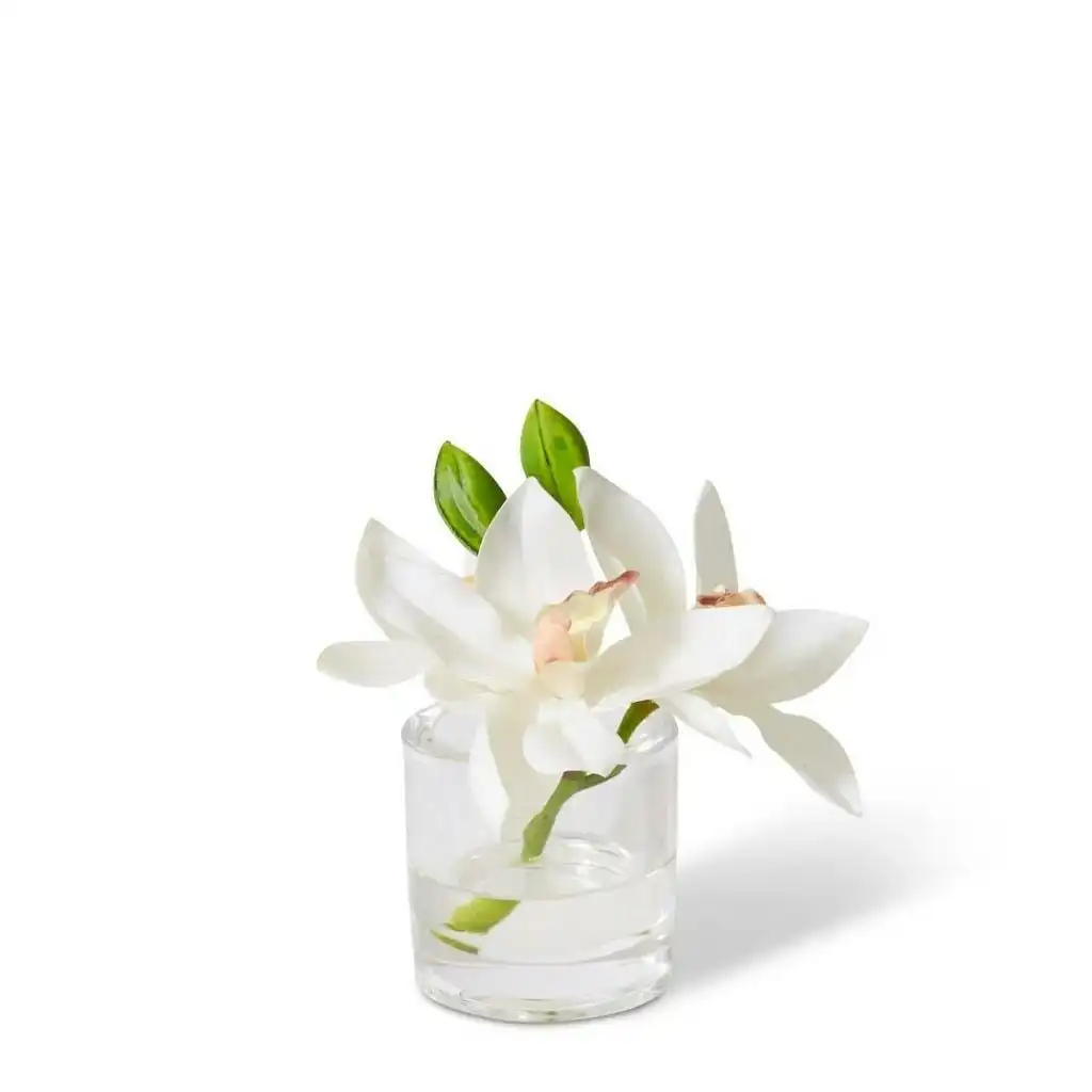 Elme Cymbidium Orchid in Vase - White - 15x8x15cm