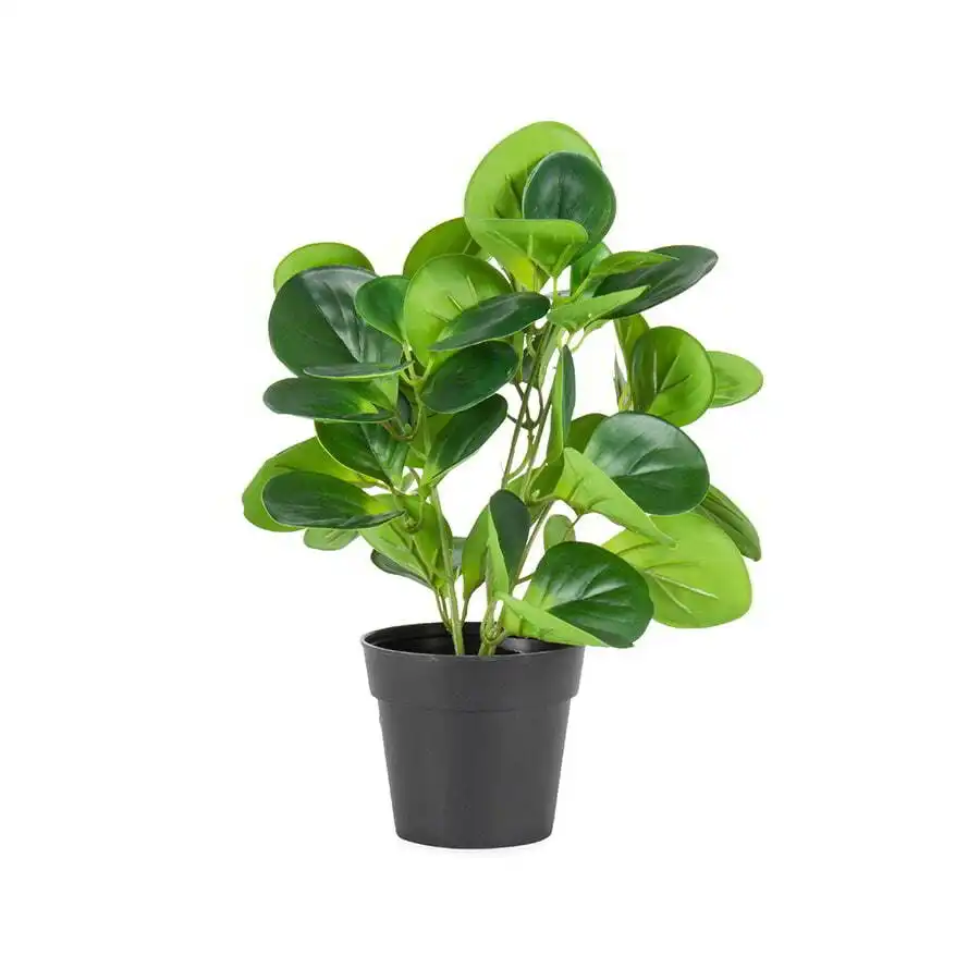 Willow & Silk Artificial/Faux 31cm Coin Leaf Peperomia Plant w/Pot