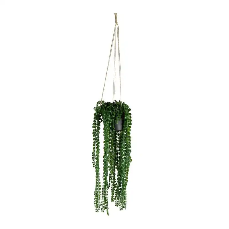 Willow & Silk Artificial 75cm Coin Leaf Peperomia Hanging Planter