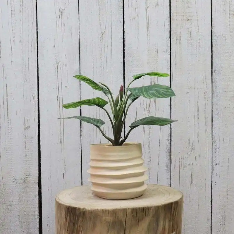 Willow & Silk Artificial 34cm Green Arrowroot Plant in Ceramic Pot