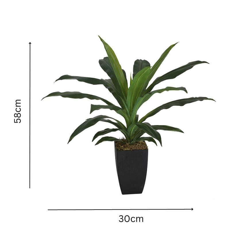 Willow & Silk Artificial 58cm Green Dracaena Janet Craig w/ Pot