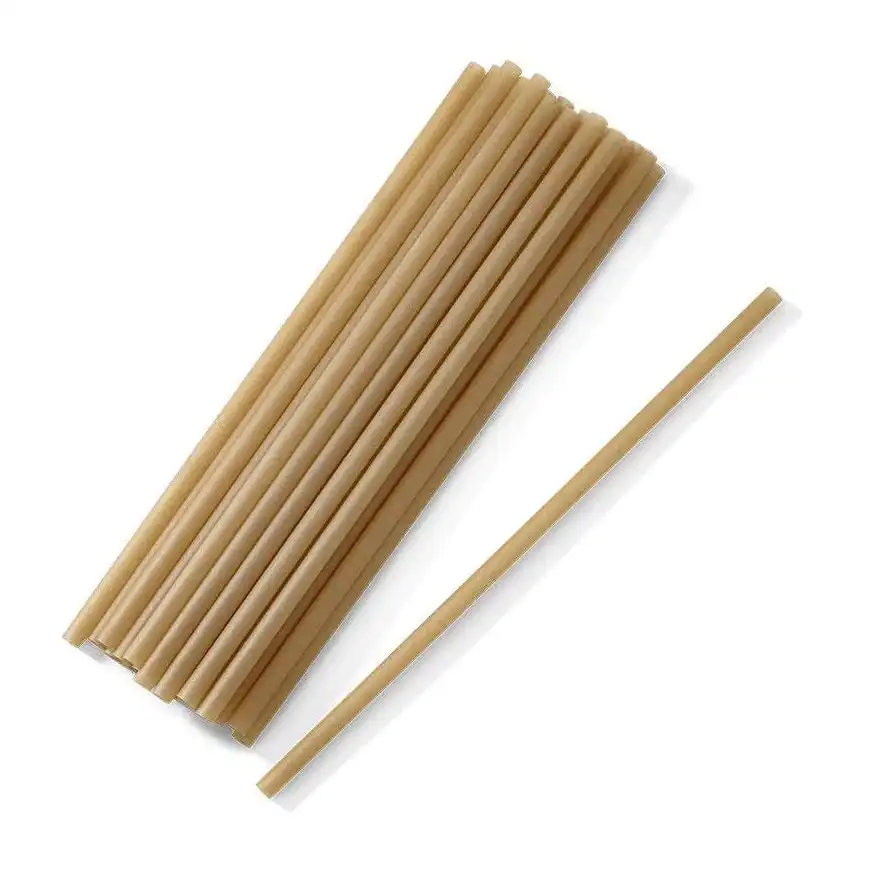 50pc Eco Soulife Disposable Biodegradable Compostable Sugarcane Straws 210x6mm