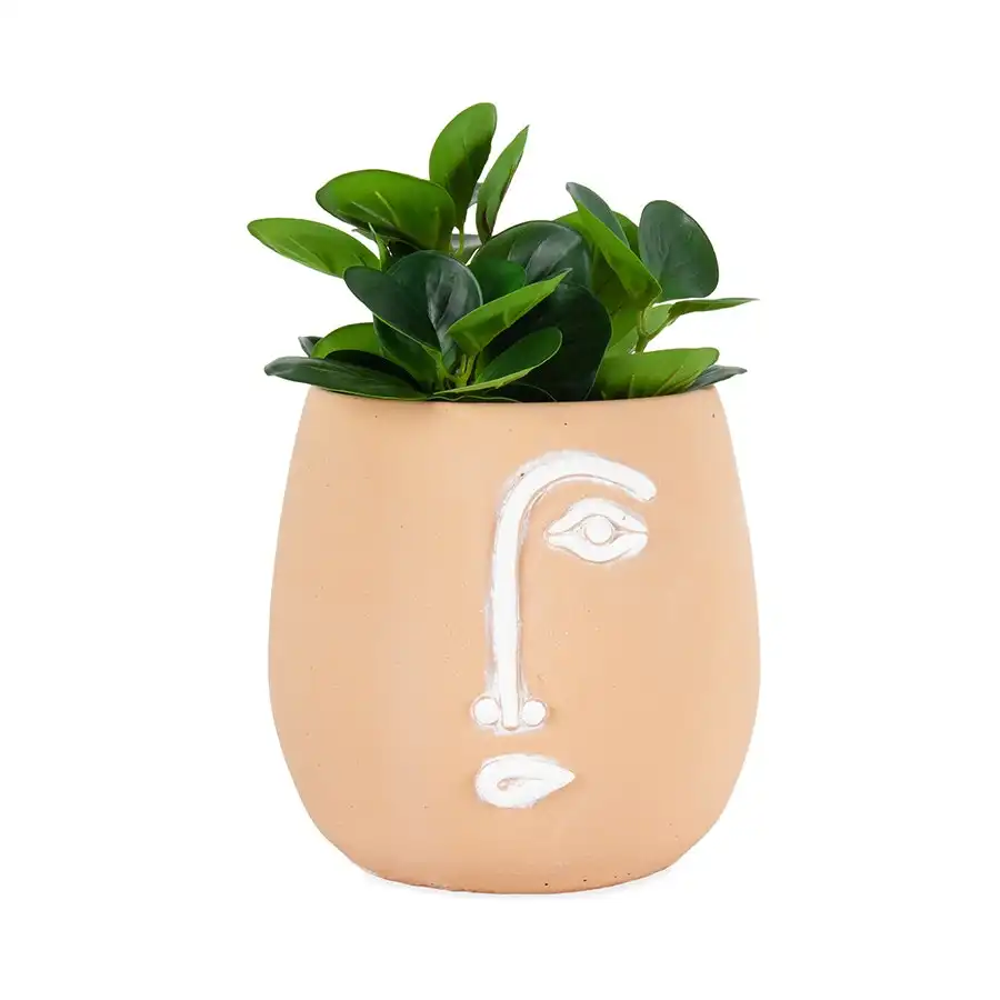 Willow & Silk Cement 20cm Pablo Coral Abstract Face Pot/Planter