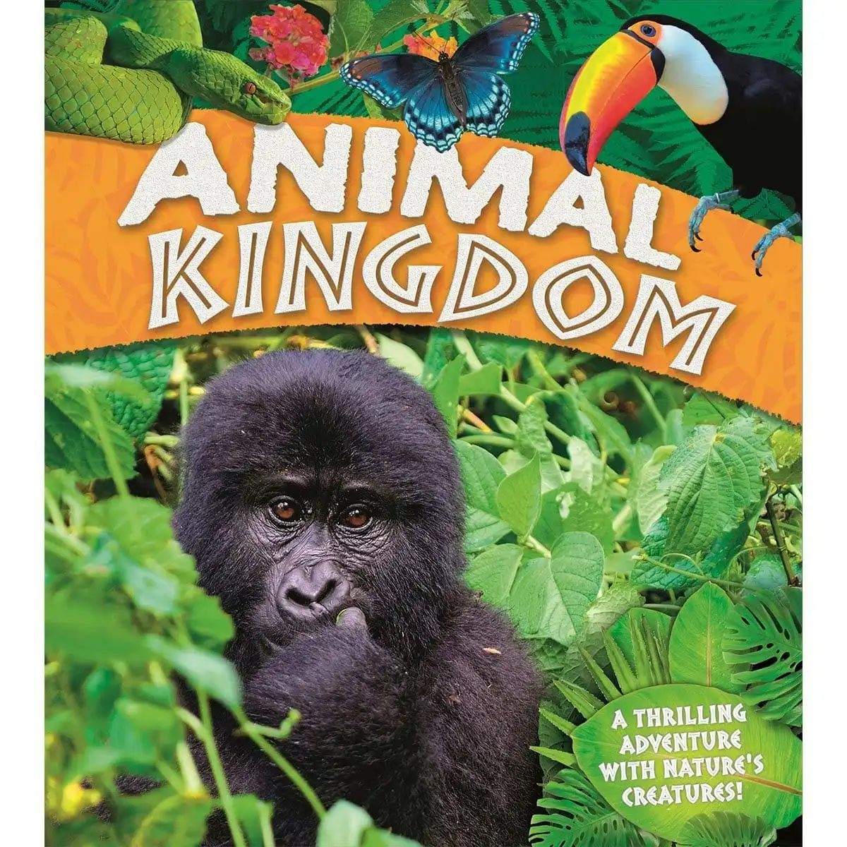 Promotional Animal Kingdom: A Thrilling Adventure With Nature's Creatures