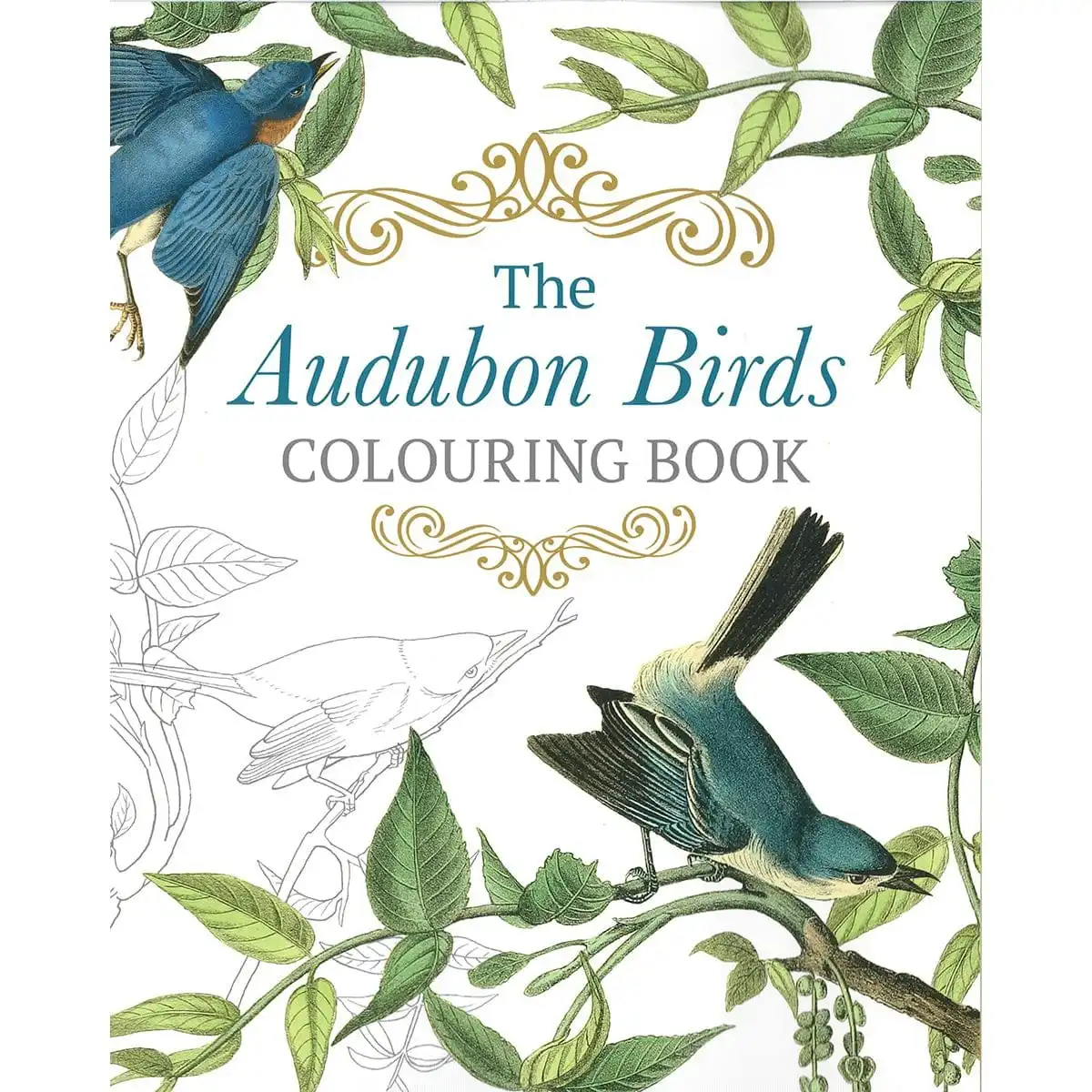 Promotional The Audubon Birds Colouring Book