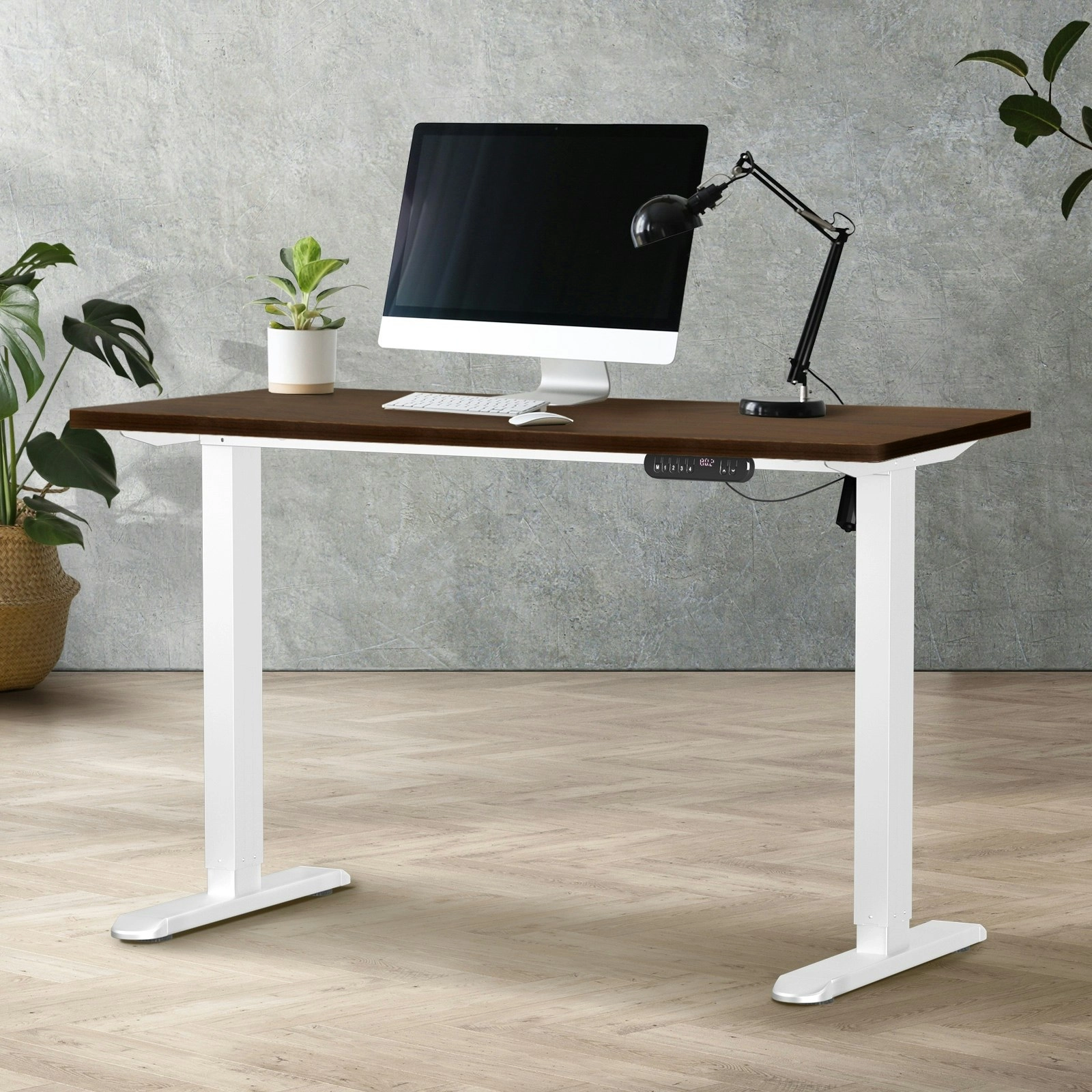 Oikiture 120CM Electric Standing Desk Single Motor White Frame Walnut Tabletop