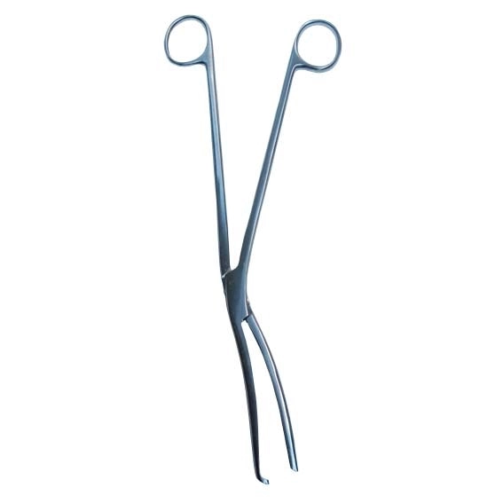 Livingstone Cheatle Sterilising Forceps 25cm