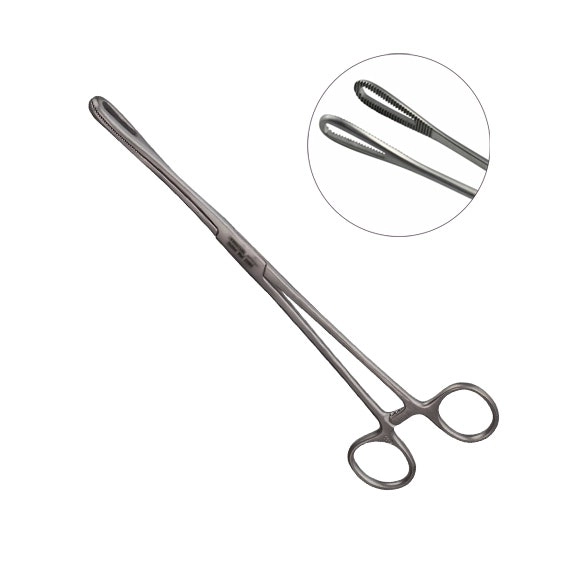 Livingstone Rampleys Sponge Holdings Forceps 24cm 77 Grams Straight Stainless Steel