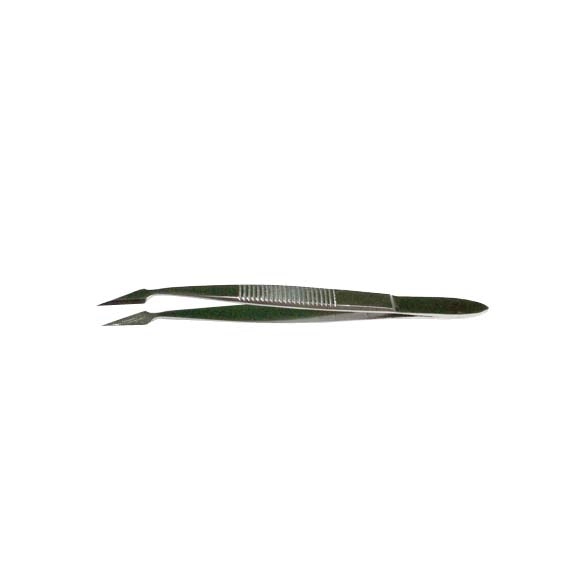 Livingstone Hunter Splinter Forceps 12cm Curved Stainless Steel