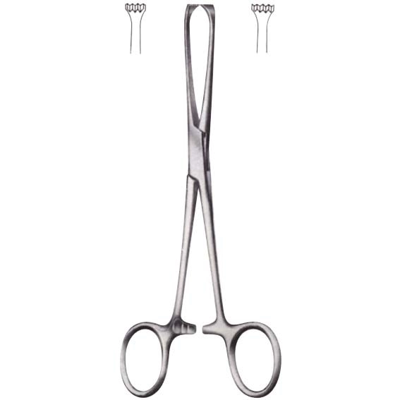 Livingstone Allis Tissue Forceps 4 x 5 Teeth 16cm Stainless Steel