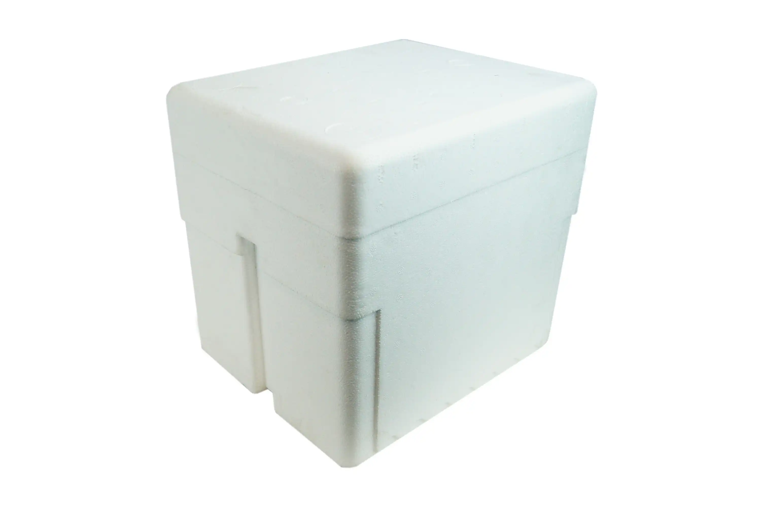 Foam Cooler Box with Lid 10L 305 x 250 x 285mm