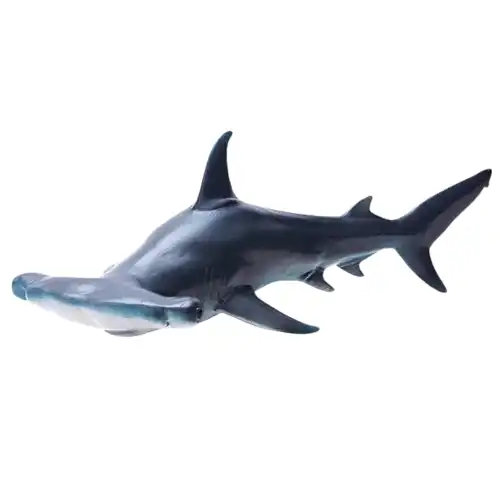 Soft Hammerhead Shark 30cm