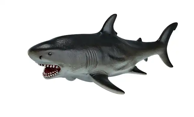 Soft Shark 35cm