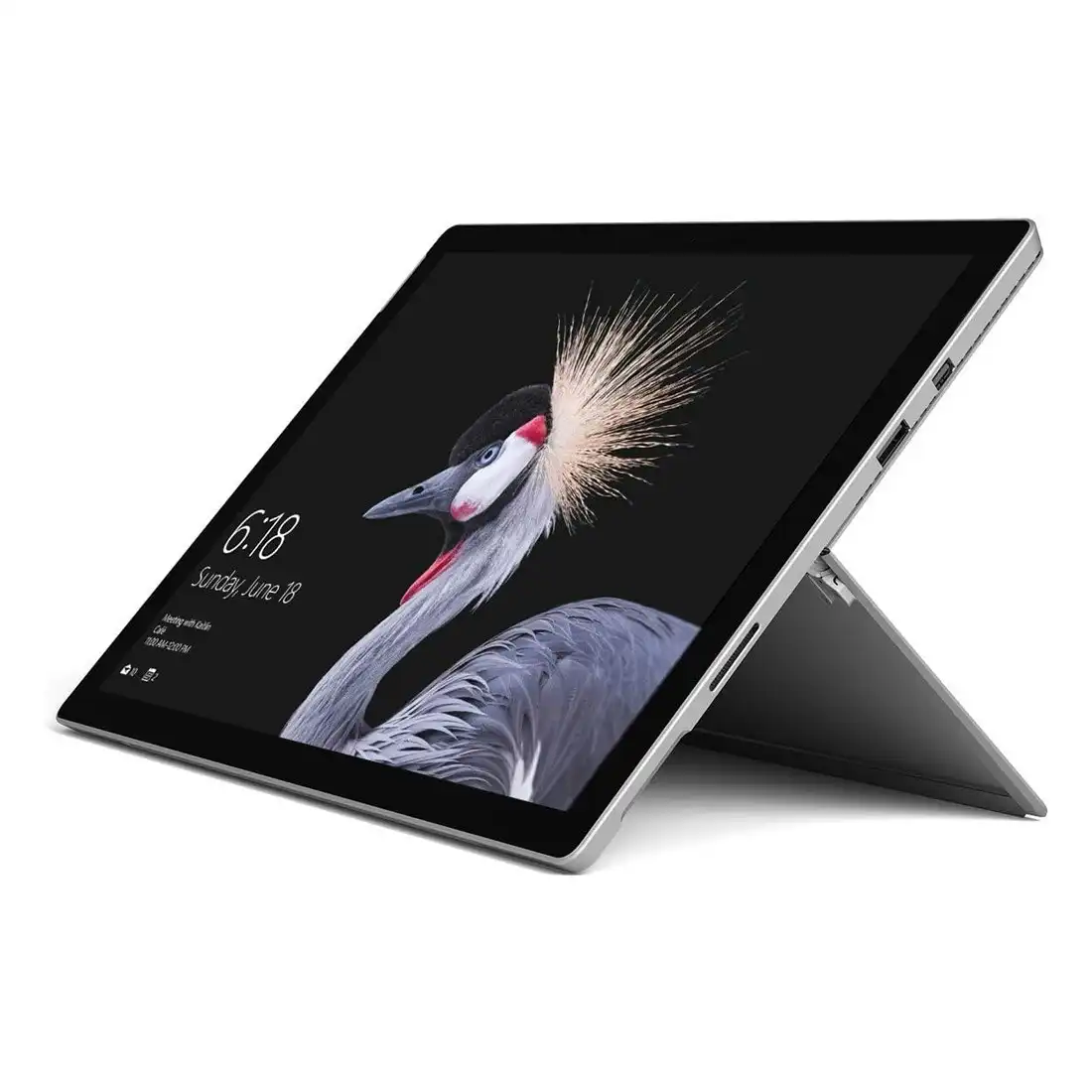 Microsoft Surface Pro (5th Gen, LTE, i5, 256GB/8GB) -  Platinum