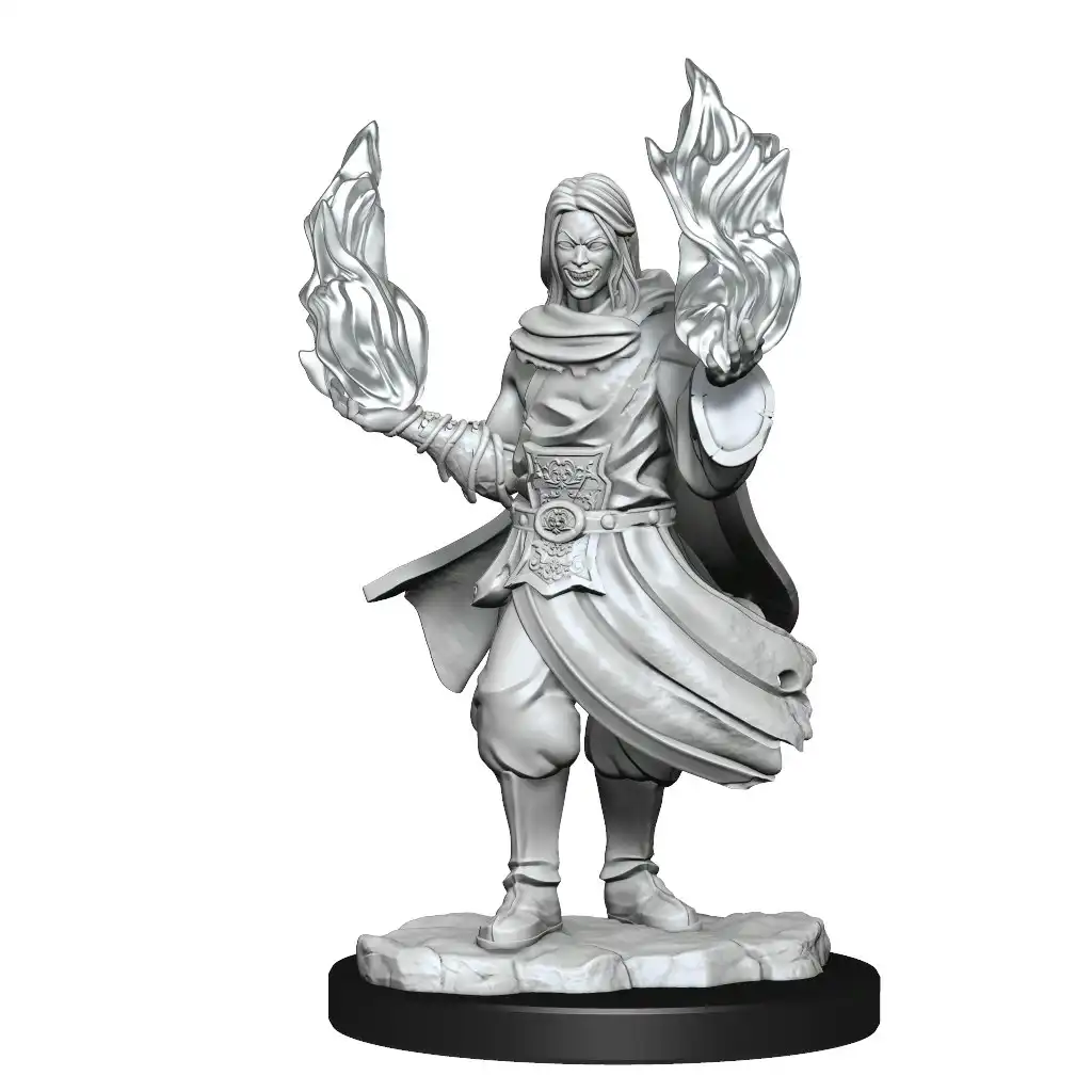 Critical Role Unpainted Miniatures Hollow One Rogue and Sorceror Male