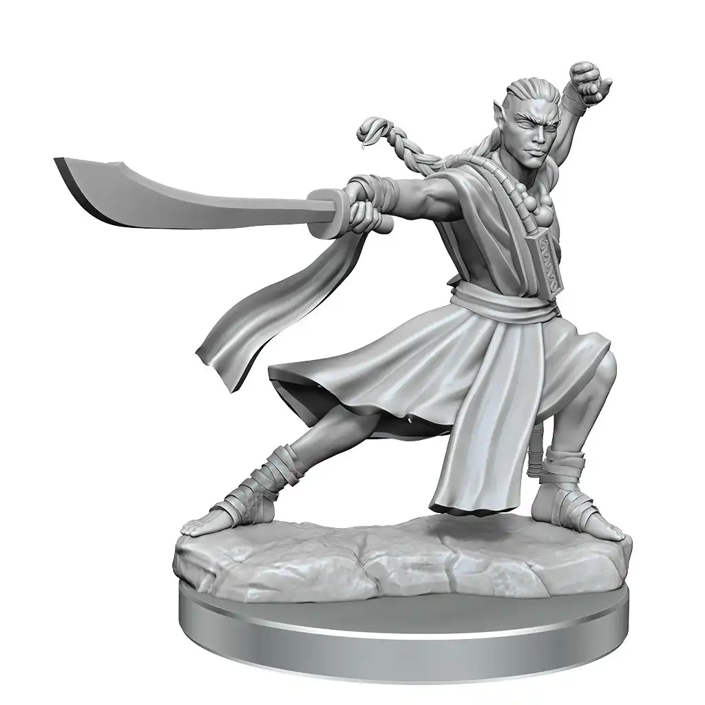 D&D Frameworks Elf Monk Male