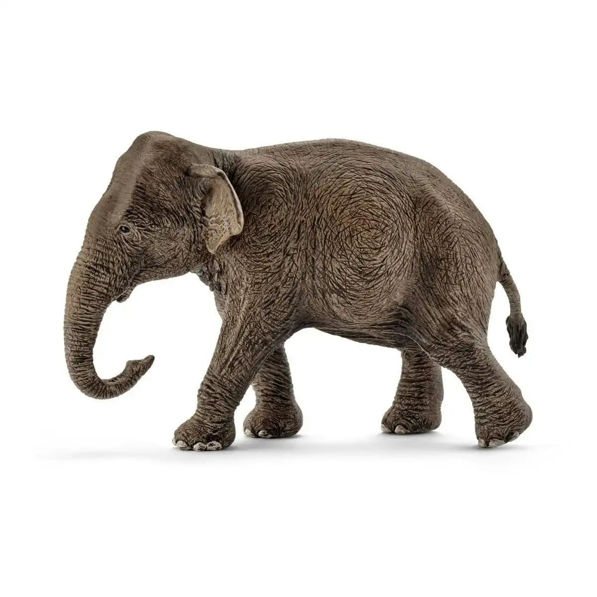 Schleich - Asian Elephant Female   Wildlife Animal Figurine