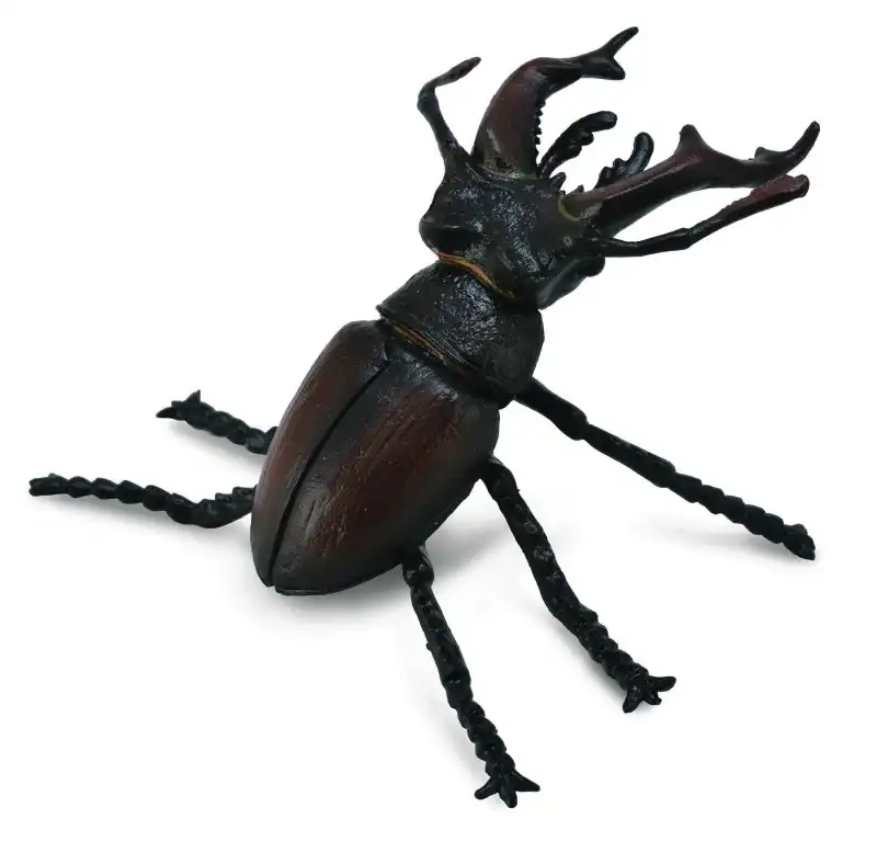 Collecta - Stag Beetle Animal Figurine