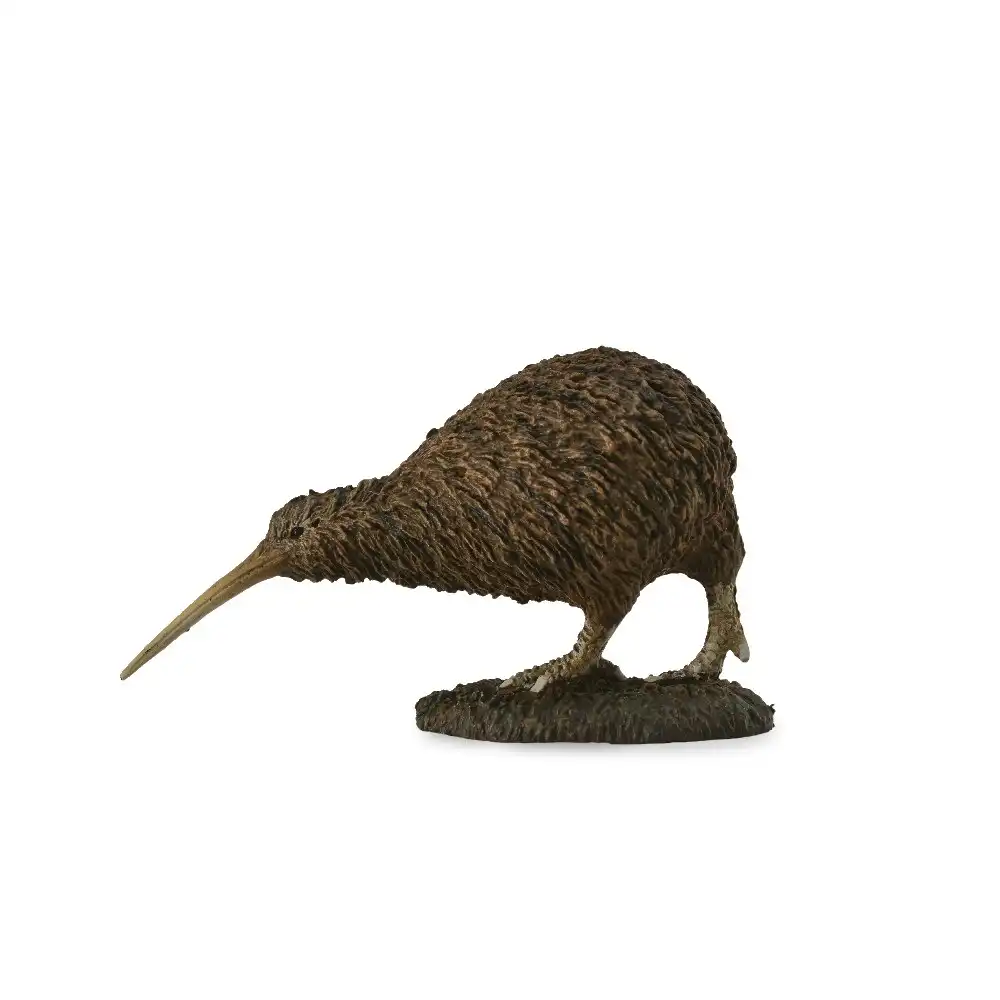 Collecta - Kiwi Bird Animal Figurine