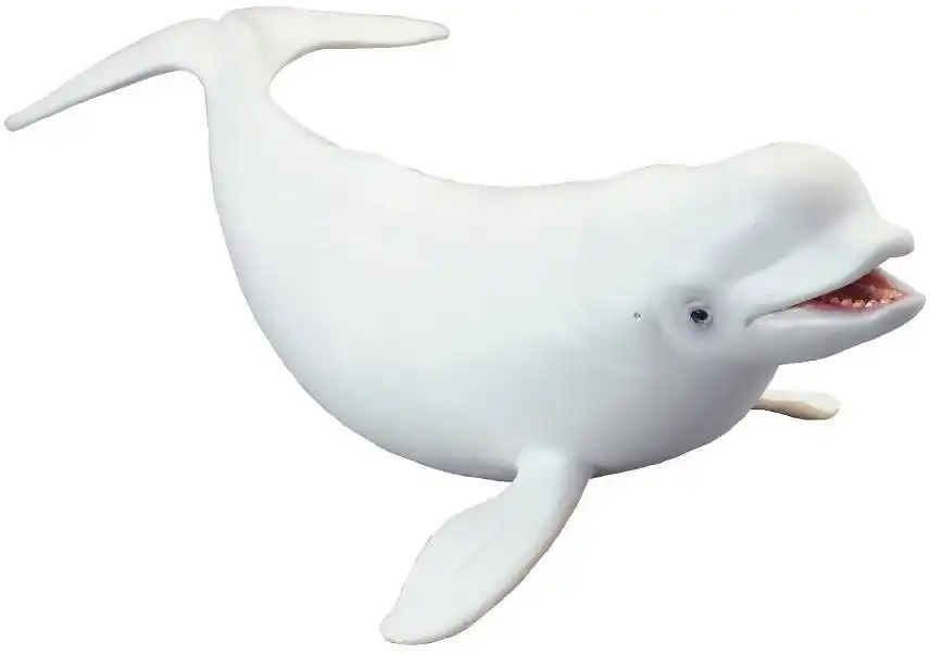 Collecta - Beluga White Whale Large Figurine