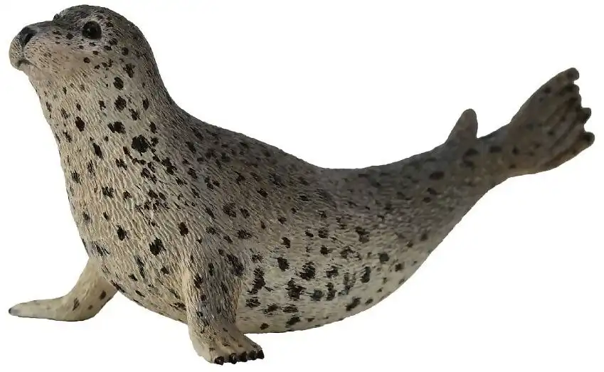 Collecta - Spotted Seal Large Animal Figurine